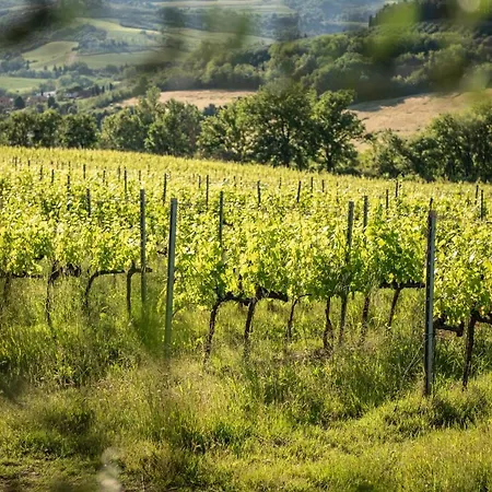 Casale Ugolini Montespertoli